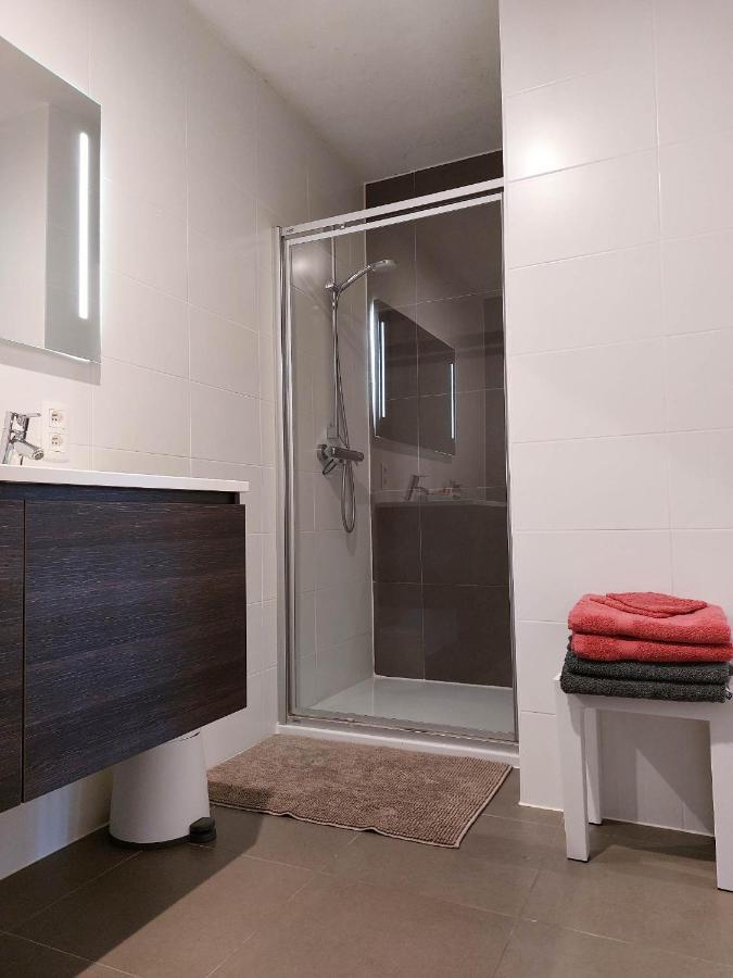 Duplex Capricia Met Zwembad * Nieuport