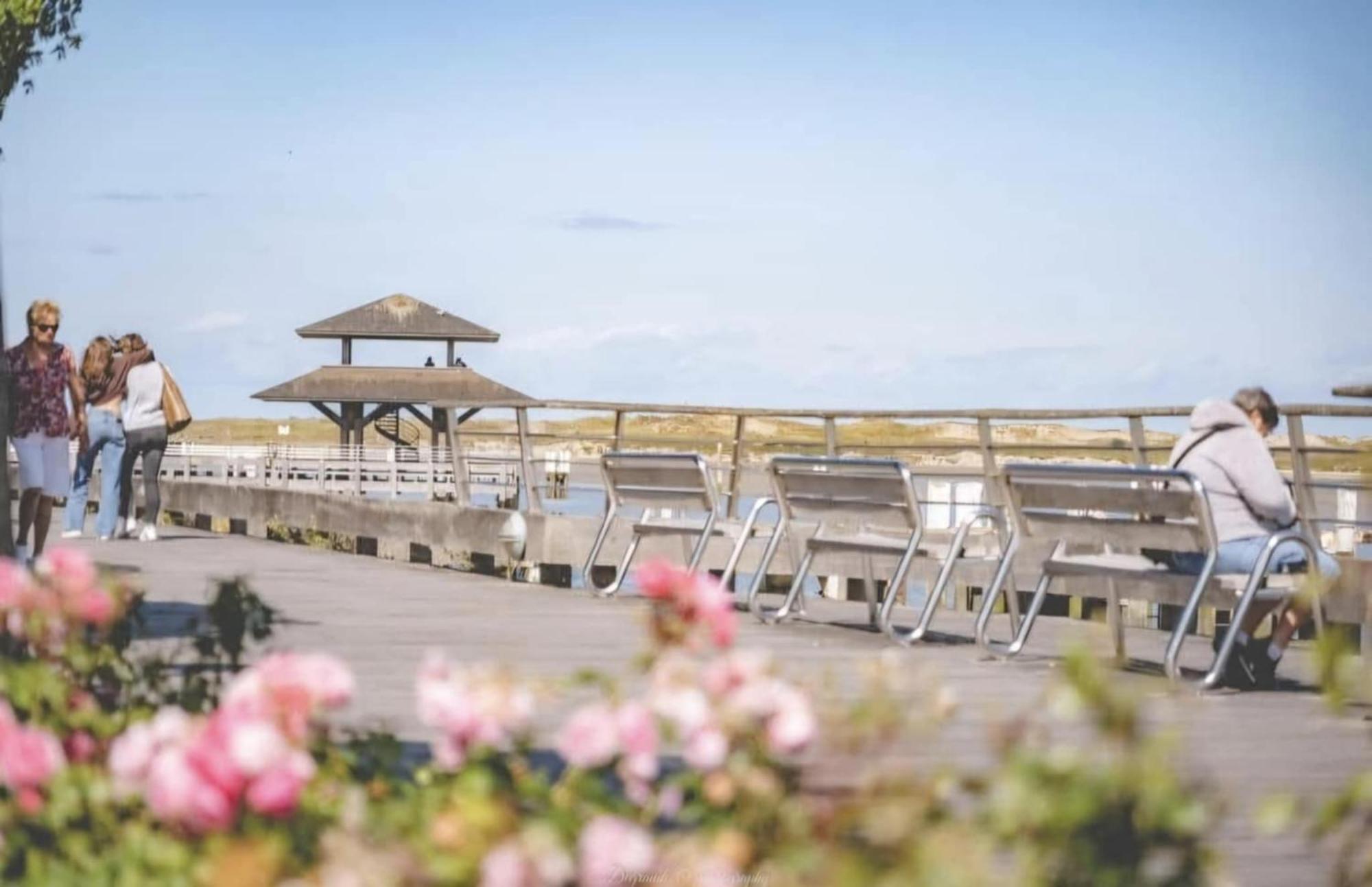 Duplex Capricia Met Zwembad Nieuport